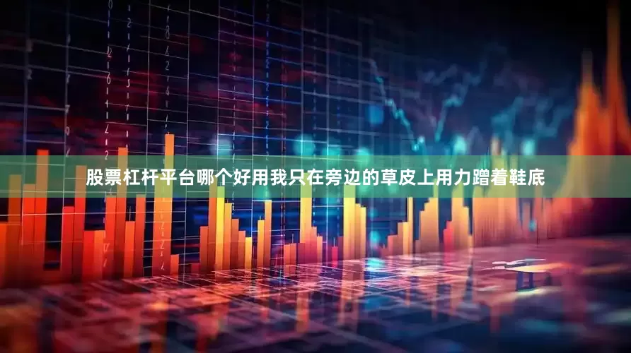 股票杠杆平台哪个好用我只在旁边的草皮上用力蹭着鞋底