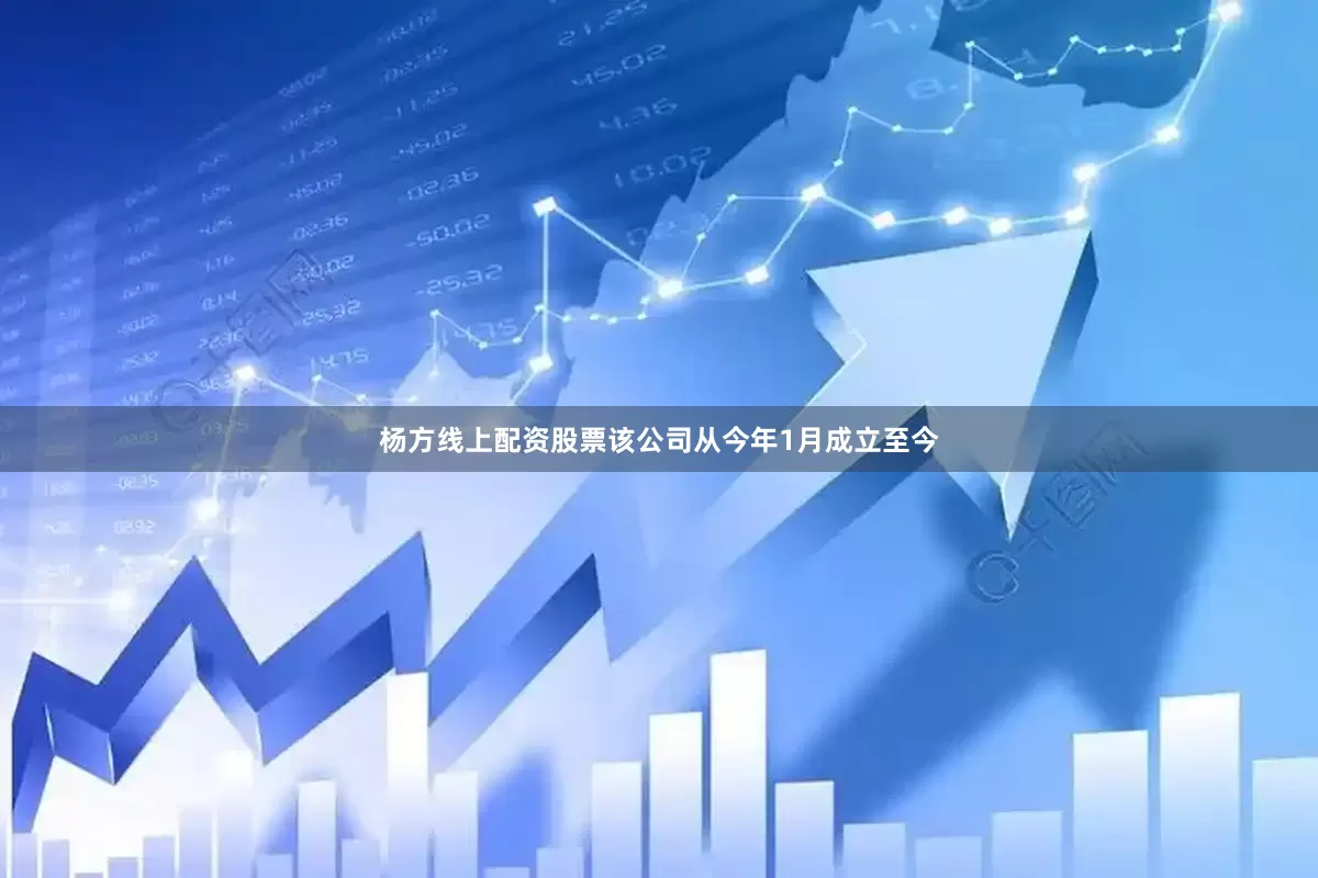 杨方线上配资股票该公司从今年1月成立至今