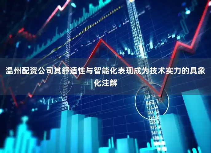 温州配资公司其舒适性与智能化表现成为技术实力的具象化注解