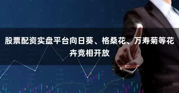 股票配资实盘平台向日葵、格桑花、万寿菊等花卉竞相开放