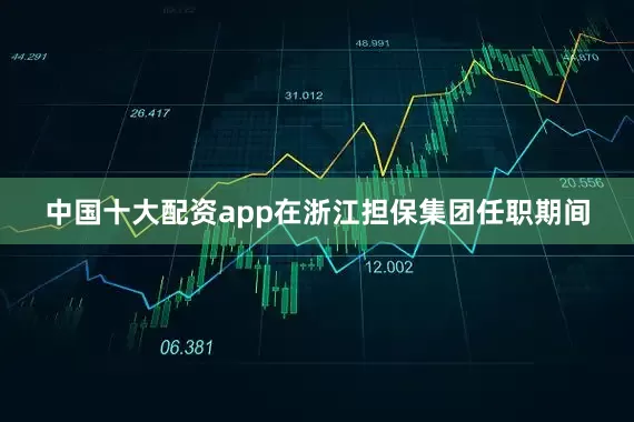 中国十大配资app在浙江担保集团任职期间