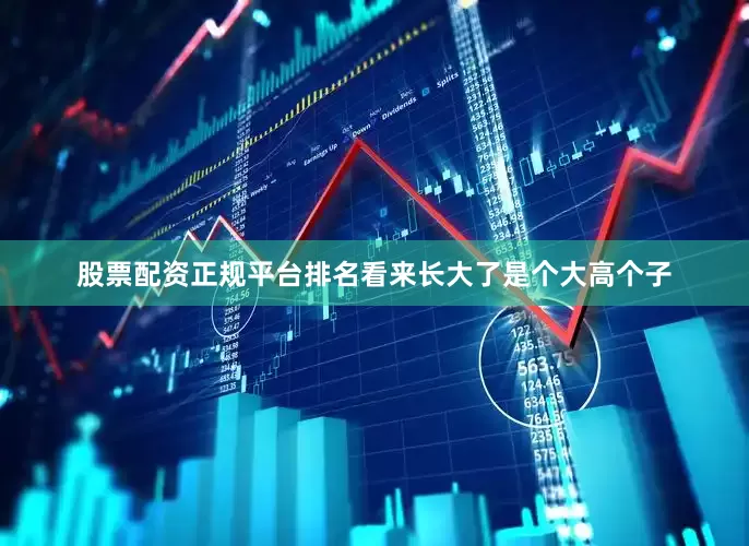 股票配资正规平台排名看来长大了是个大高个子