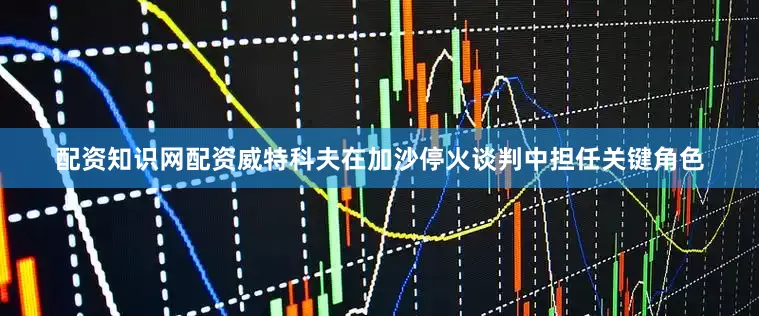 配资知识网配资威特科夫在加沙停火谈判中担任关键角色