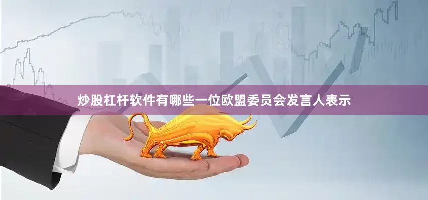 炒股杠杆软件有哪些一位欧盟委员会发言人表示